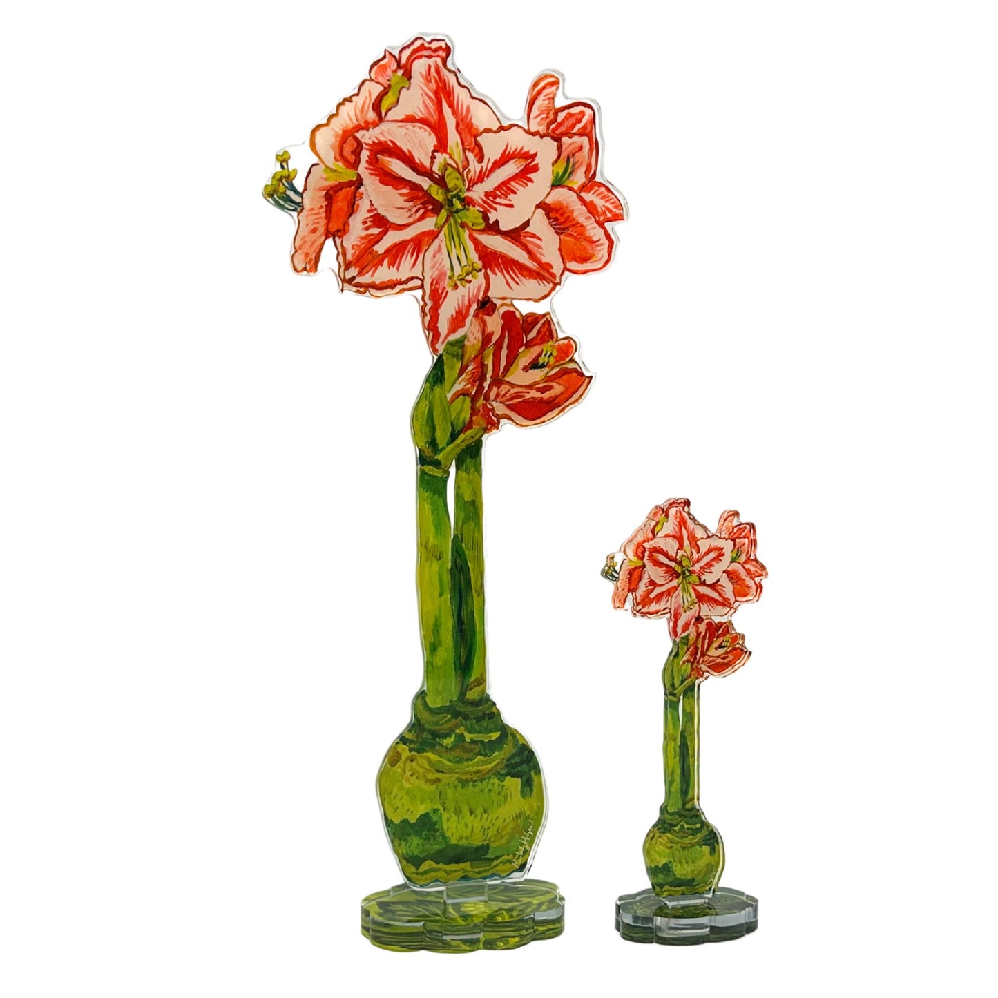 Red Star Amaryllis | 0.25in. Acrylic Floral