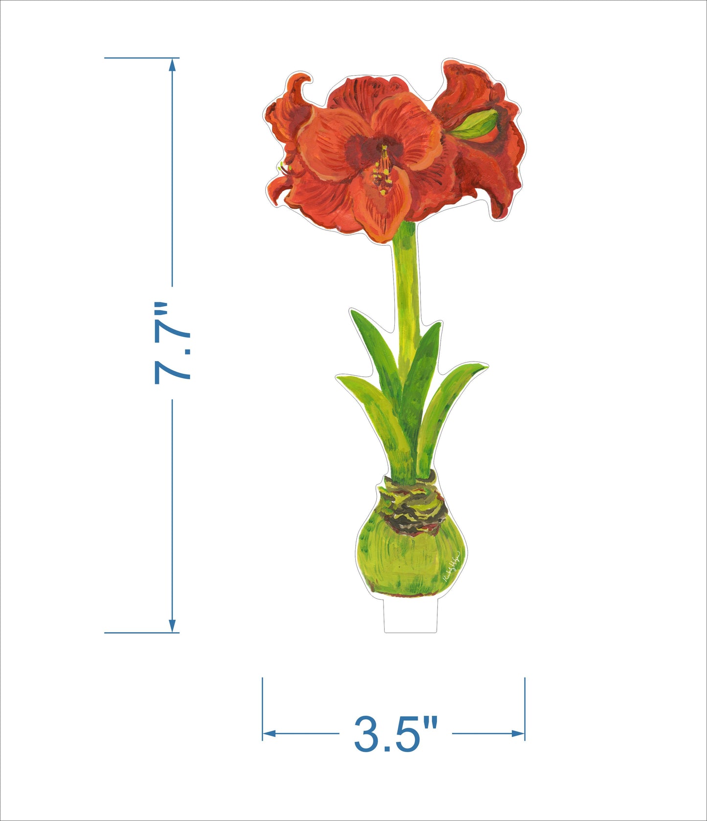 Red Orange Amaryllis | 0.25in. Acrylic Floral