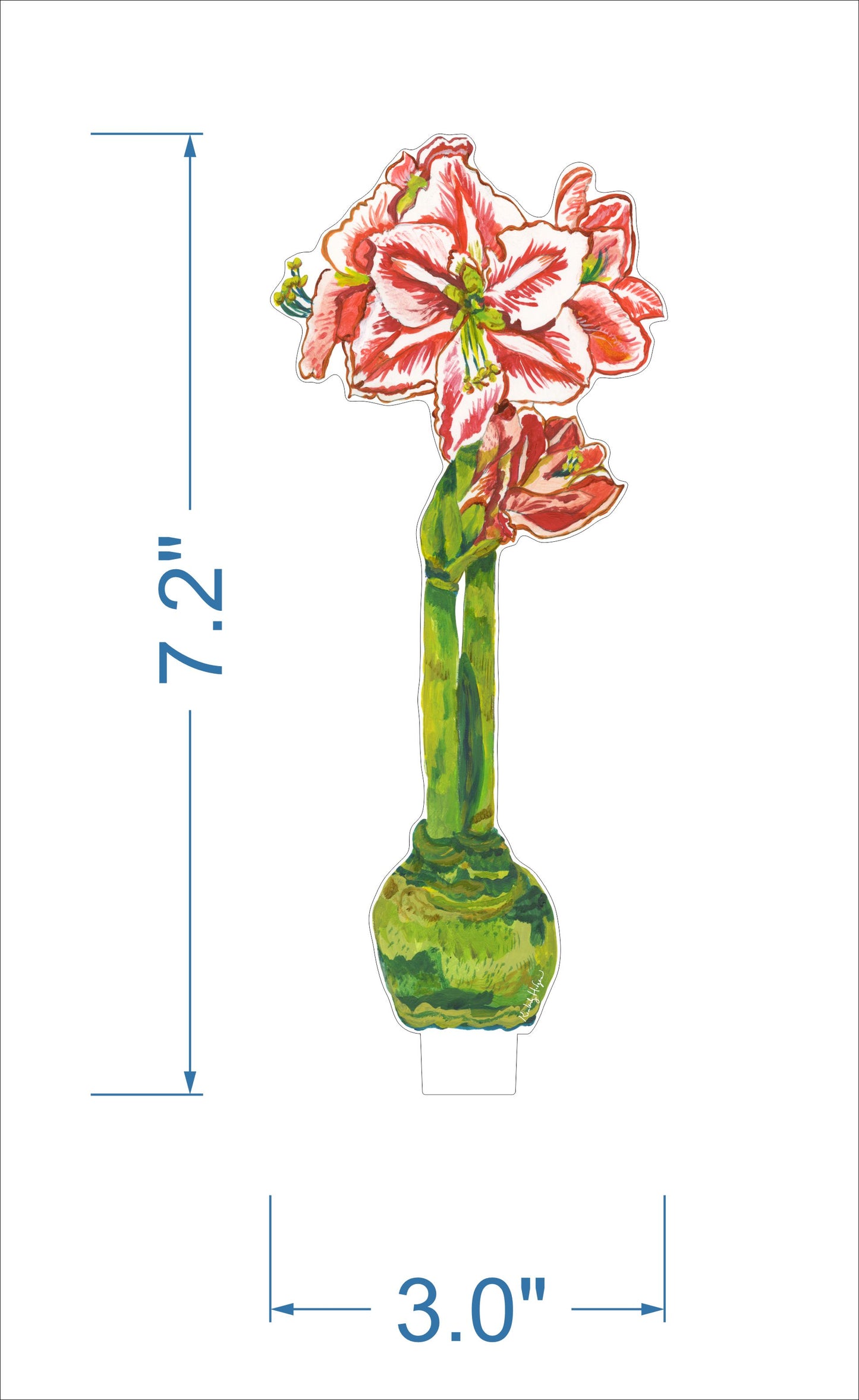 Red Orange Amaryllis Acrylic Floral Decoration