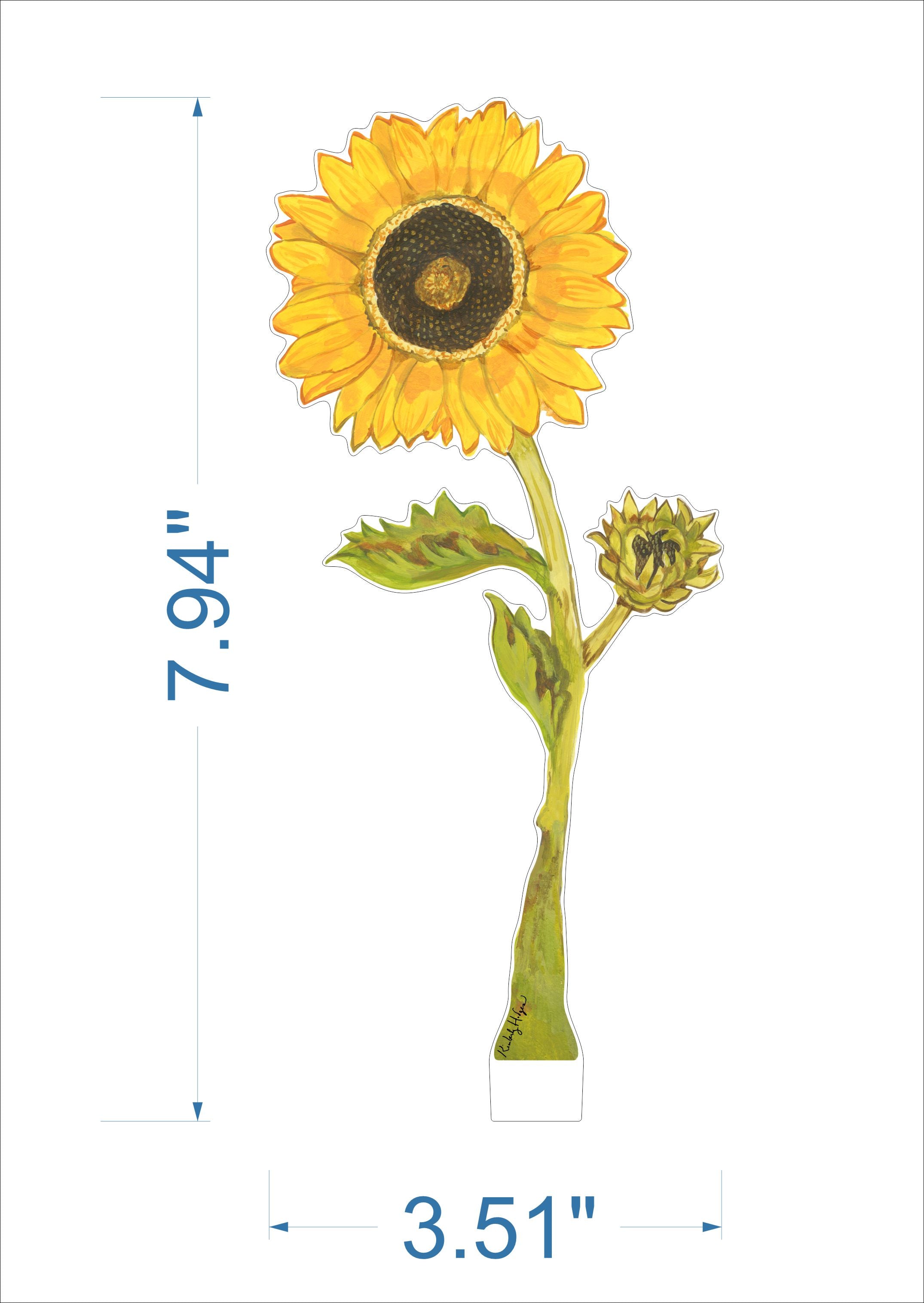 Sunflower_SM_KHA-068.jpg?v=