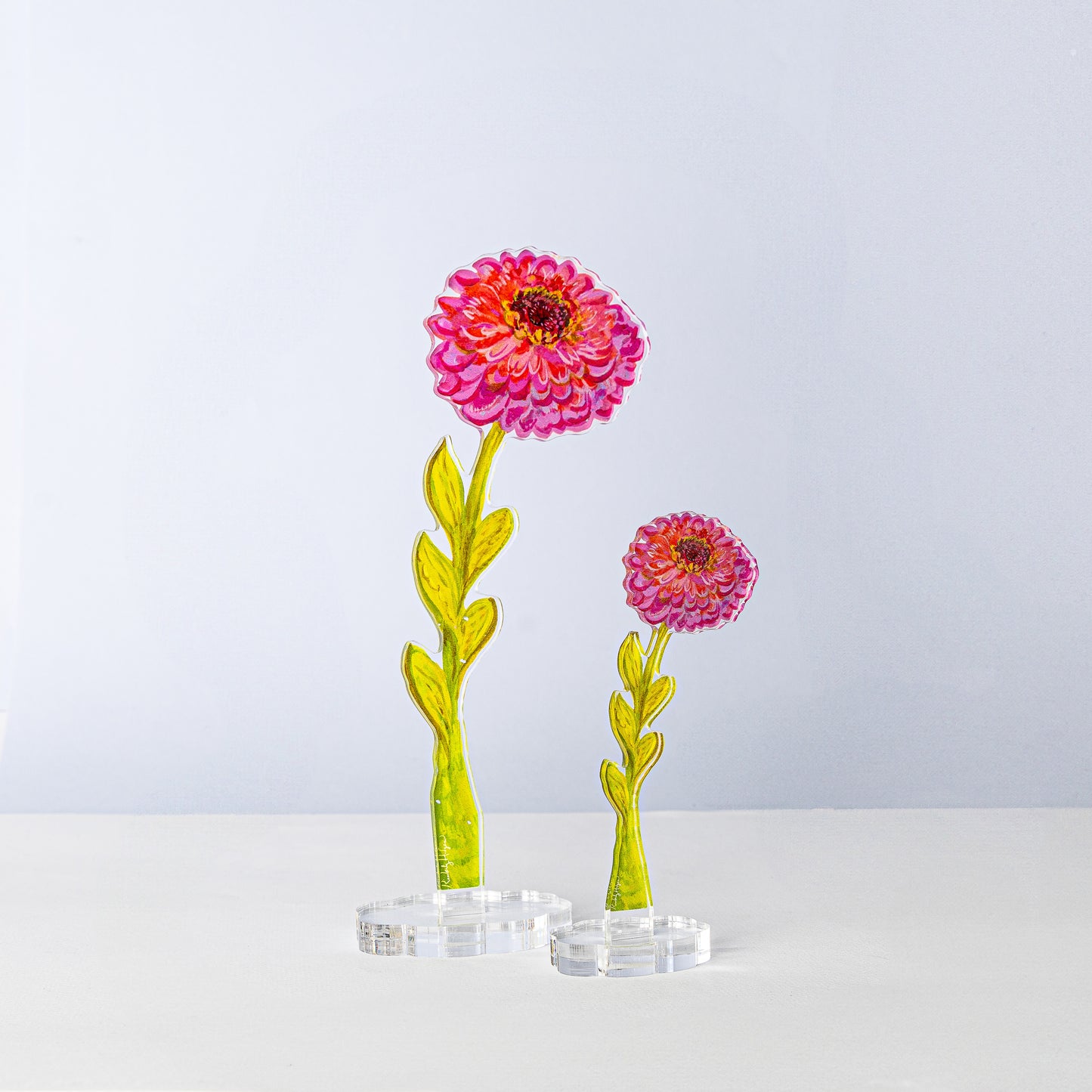 Thistle Zinnia | 0.25in. Acrylic Floral