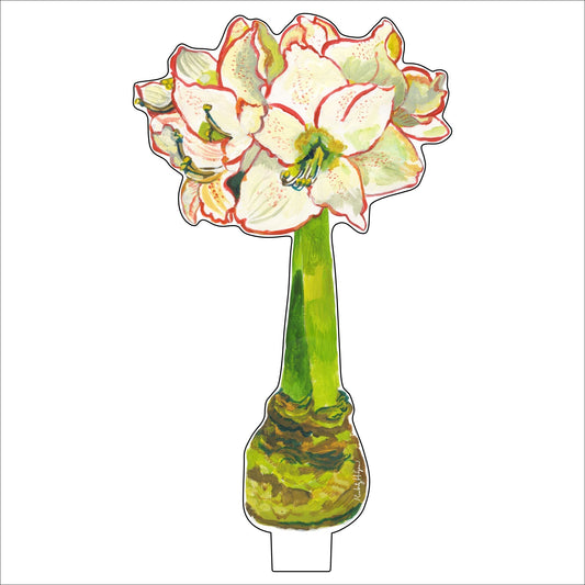 White Amaryllis SM |  WHOLESALE | 0.25in. Acrylic