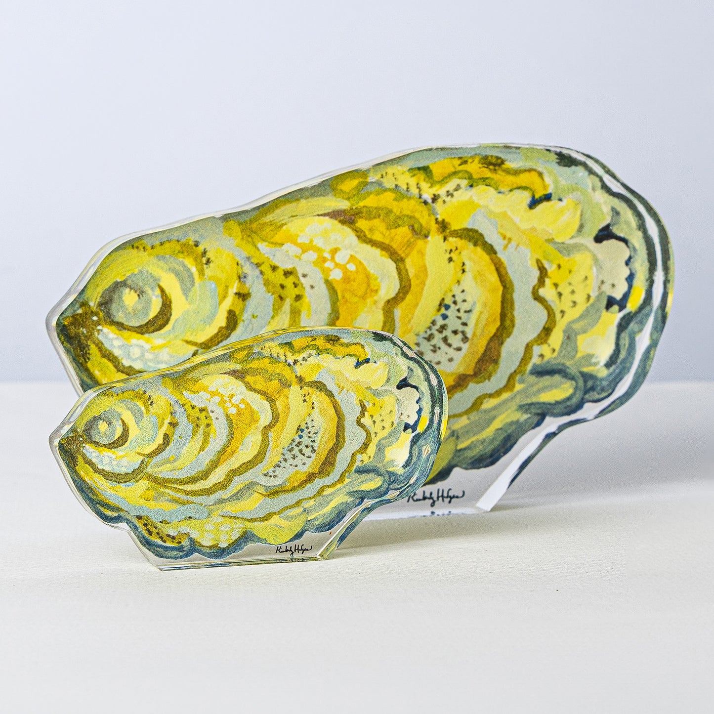 Oyster Shell Mini | 0.50in. Acrylic Mini